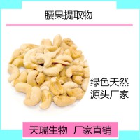 腰果提取物 腰果粉 天瑞生物廠家