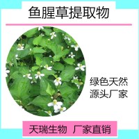 魚腥草提取物  魚腥草粉10:1藥食同源