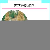 肉蓯蓉提取物 肉蓯蓉濃縮粉 水溶性好 藥食同源天瑞生物廠家