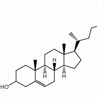 花青素系列標準品惠誠生物優勢供應