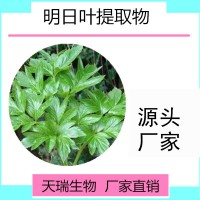 明日葉提取物源頭廠家包郵1公斤起訂