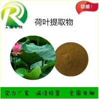 荷葉堿10%荷葉提取物荷葉水提物天瑞生產
