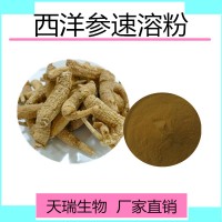 西洋參提取物西洋參皂甙源頭廠家天瑞生產