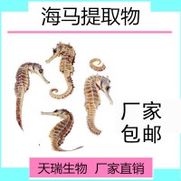 海馬提取物天瑞源頭廠家批發(fā)海馬高倍濃縮粉