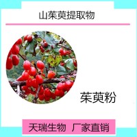 山茱萸提取物食品級天瑞源頭廠家批發山茱萸粉