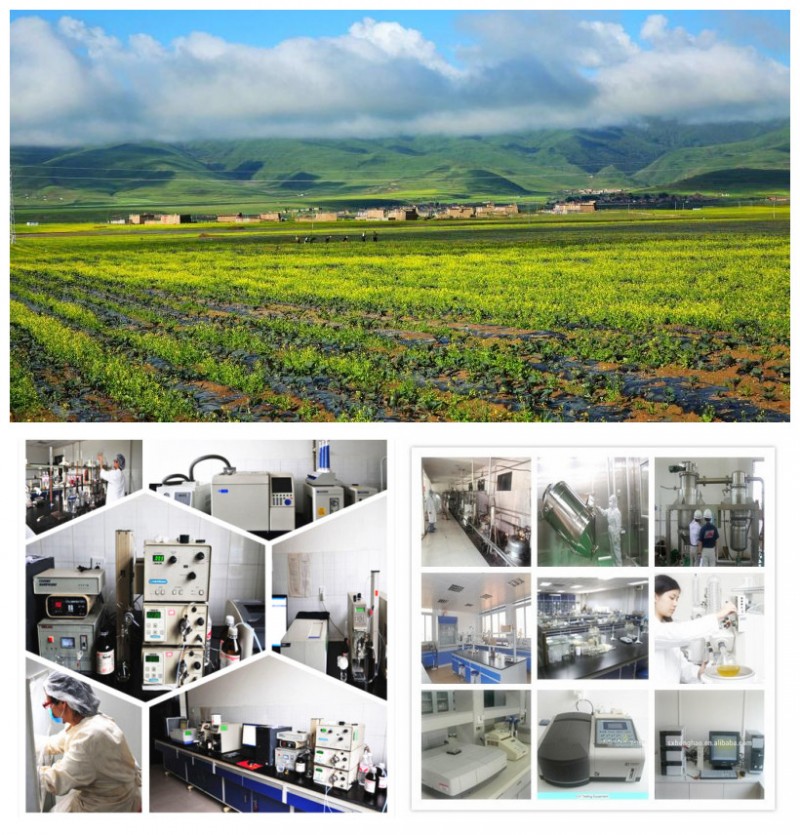西安萊葆生物工廠圖