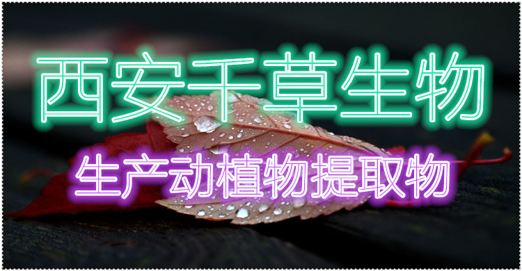 新邊圖