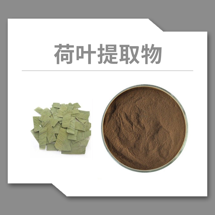荷葉提取物-16