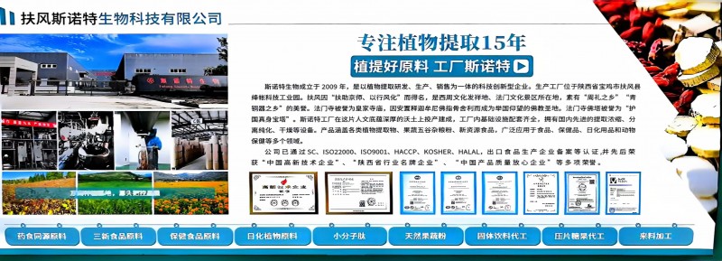 微信圖片_20241121102648
