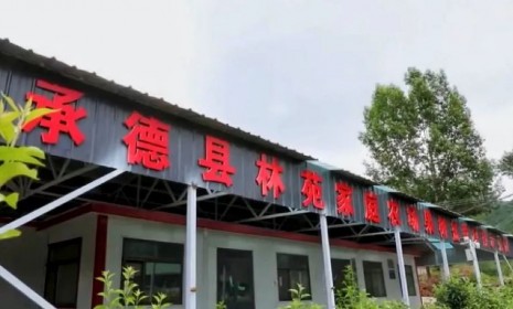 科技特派推動(dòng)承德生態(tài)產(chǎn)品價(jià)值實(shí)現(xiàn) —— 承德縣林苑家庭農(nóng)場(chǎng)助力試點(diǎn)城市建設(shè)