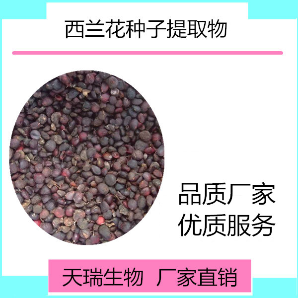 西蘭花種子_副本