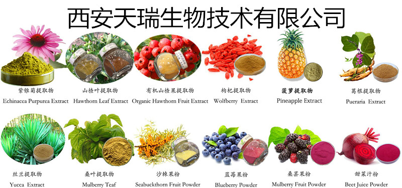 生姜提取物