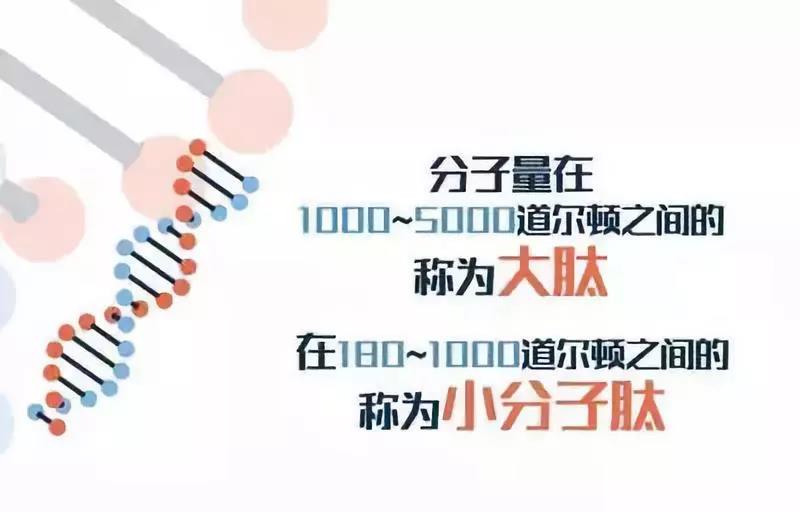 微信圖片_20181205114318