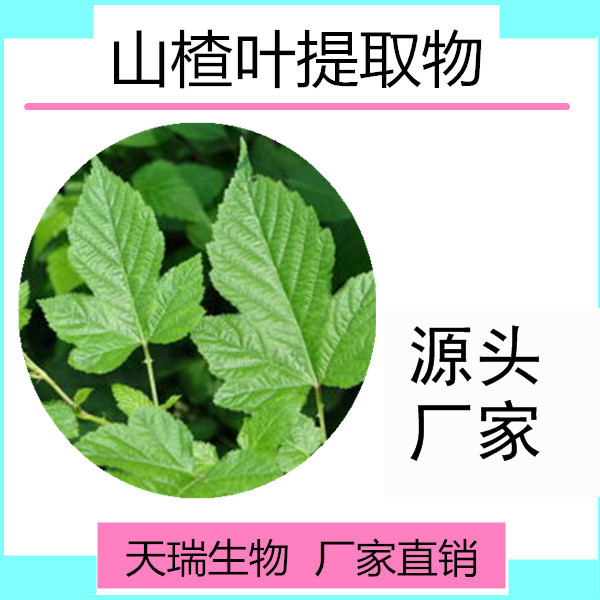 山楂葉_副本
