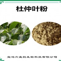 杜仲葉濃縮粉 杜仲葉粉 生產(chǎn)廠家