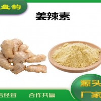 生姜提取物 姜辣素 廠家供應(yīng)
