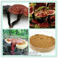 靈芝提取物粉 靈芝浸膏 靈芝多糖