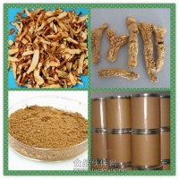 知母提取物 知母粉