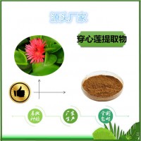 穿心蓮提取物10:1飼料級穿心蓮內脂穿心蓮粉
