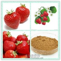 草莓提取物粉 草莓浸膏價格