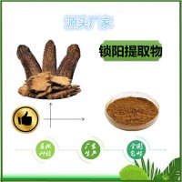 鎖陽提取物  鎖陽浸膏粉天瑞生產包郵鎖陽濃縮粉