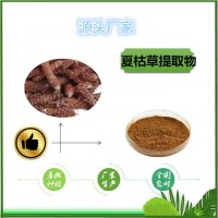 水溶夏枯草粉現(xiàn)貨夏枯草濃縮粉天瑞廠家食品級(jí)原料批發(fā)