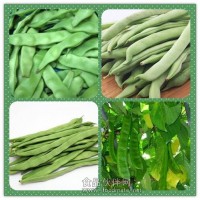 刀豆粉 刀豆提取物 刀豆浸膏價(jià)格