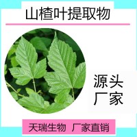 山楂葉提取物  山楂葉黃酮天瑞生物廠家