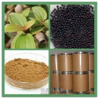 王不留行提取物粉 王不留行浸膏價格
