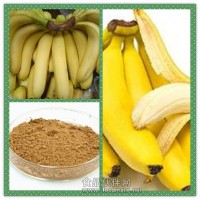 香蕉提取物 香蕉粉