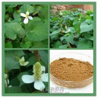 魚腥草提取物 魚腥草粉