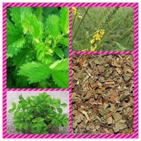 仙鶴草濃縮粉 仙鶴草提取物