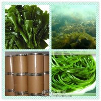 海帶提取物 海帶粉 海帶多糖