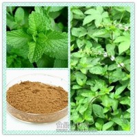 薄荷提取物粉 薄荷浸膏 薄荷醇價格