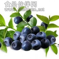 巴西莓提取物 巴西莓濃縮粉
