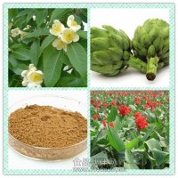 牛青膽提取物 牛青膽粉