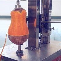 果蔬加工廠削冬瓜皮的機器 果蔬脆加工廠削南瓜皮的機器 削皮機