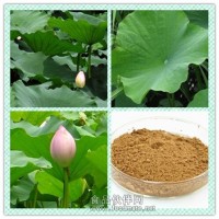荷葉提取物粉 荷葉浸膏 荷葉堿