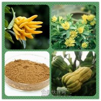 佛手濃縮粉