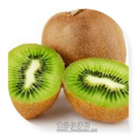 獼猴桃粉 獼猴桃噴霧干燥粉獼猴桃速溶粉