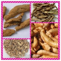 地骨皮粉