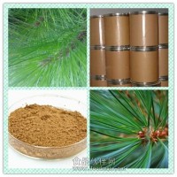松針濃縮粉 松針提取物