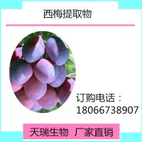 西梅濃縮粉