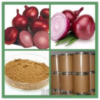 洋蔥濃縮粉 洋蔥提取物