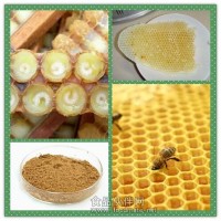 蜂膠濃縮粉 蜂膠提取物