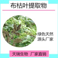 布枯葉提取物 布枯葉噴霧干燥粉比例提取天瑞規(guī)格可定制
