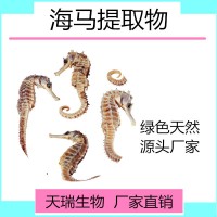 海馬提取物 海馬粉天瑞生物現貨
