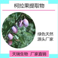柯拉果粉  柯拉果濃縮汁粉噴霧干燥粉 天瑞生物現(xiàn)貨
