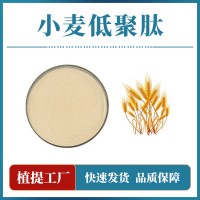 小麥低聚肽粉 支持定制 水溶性粉末 多種規(guī)格