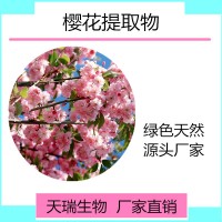 櫻花提取物 櫻花濃縮粉天瑞生物現貨